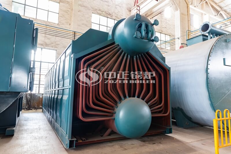 Industrial Steam Hot Water Large Capacity Domestic Biomass Boilers