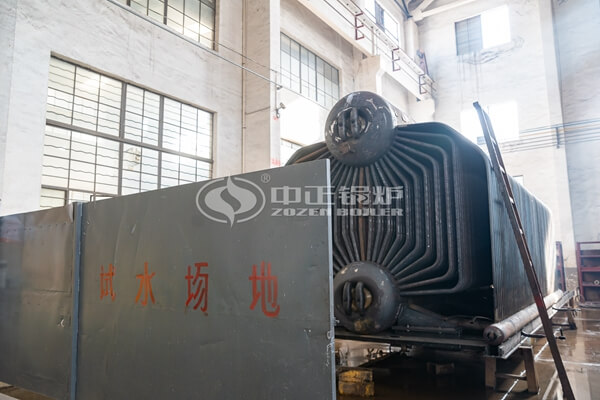 Industrial Wood Pellet Biomass Steam Boiler for Sale